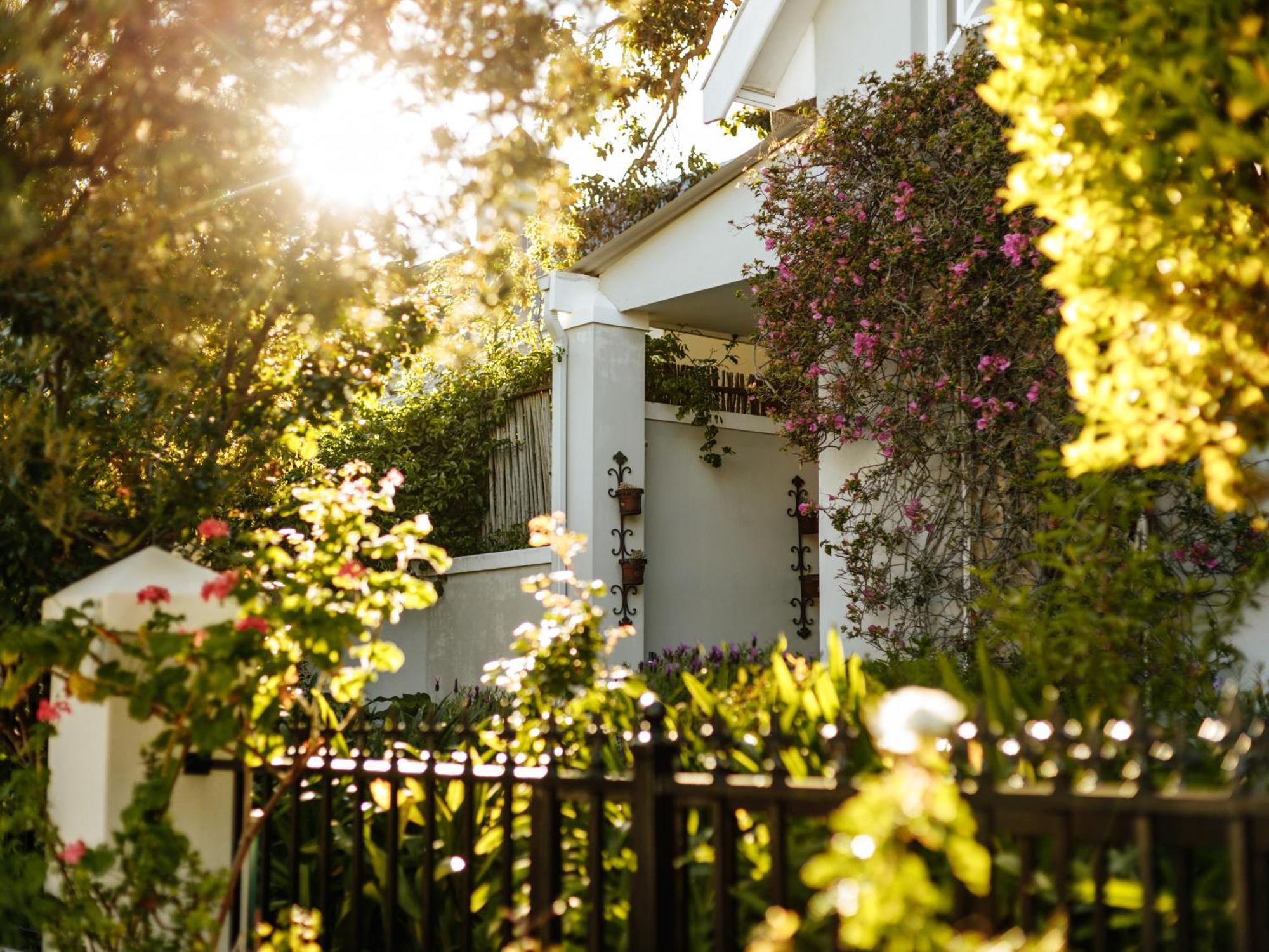 Fleur Du Soleil Luxury Guesthouse Franschhoek Dış mekan fotoğraf