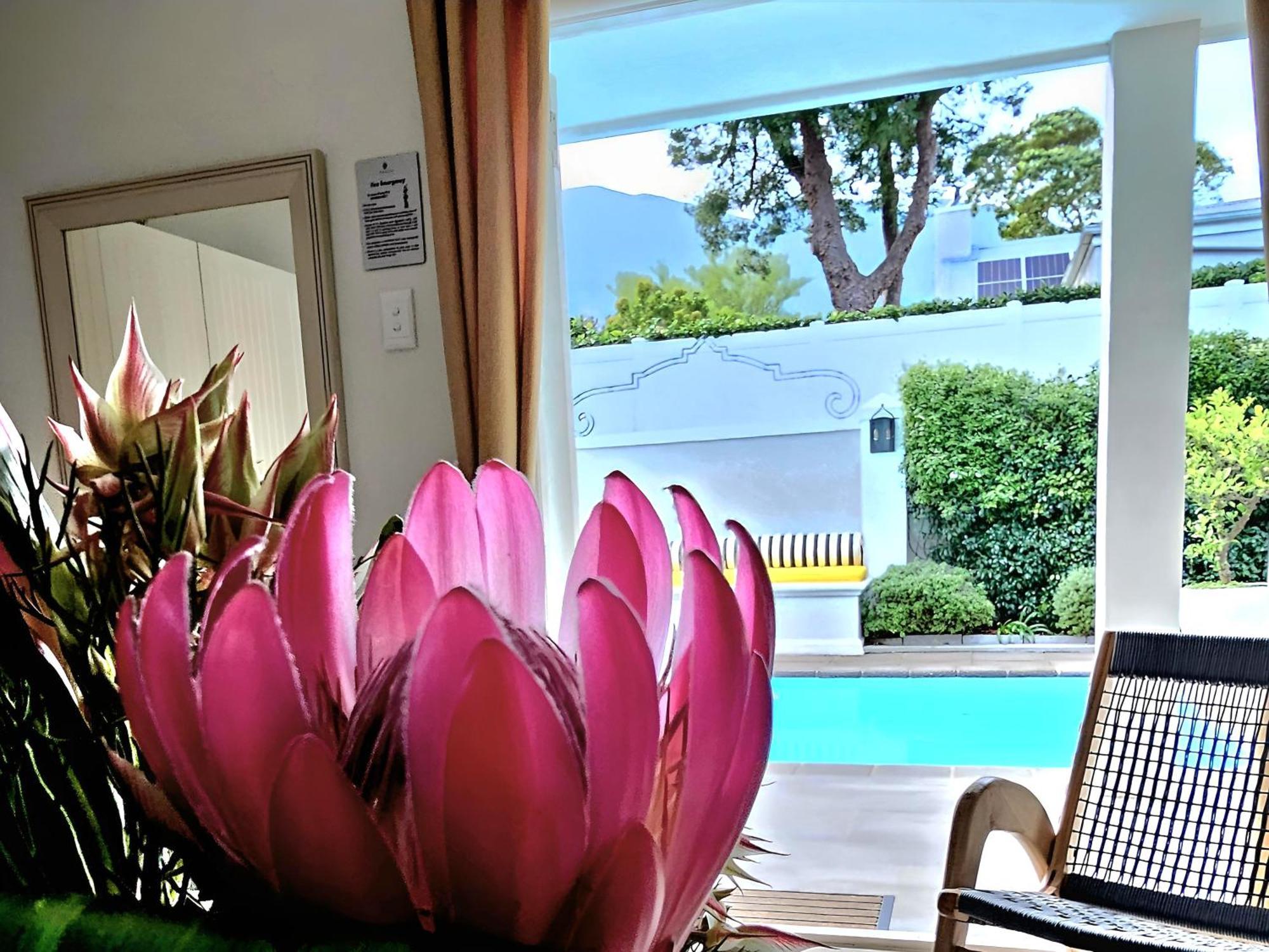 Fleur Du Soleil Luxury Guesthouse Franschhoek Dış mekan fotoğraf