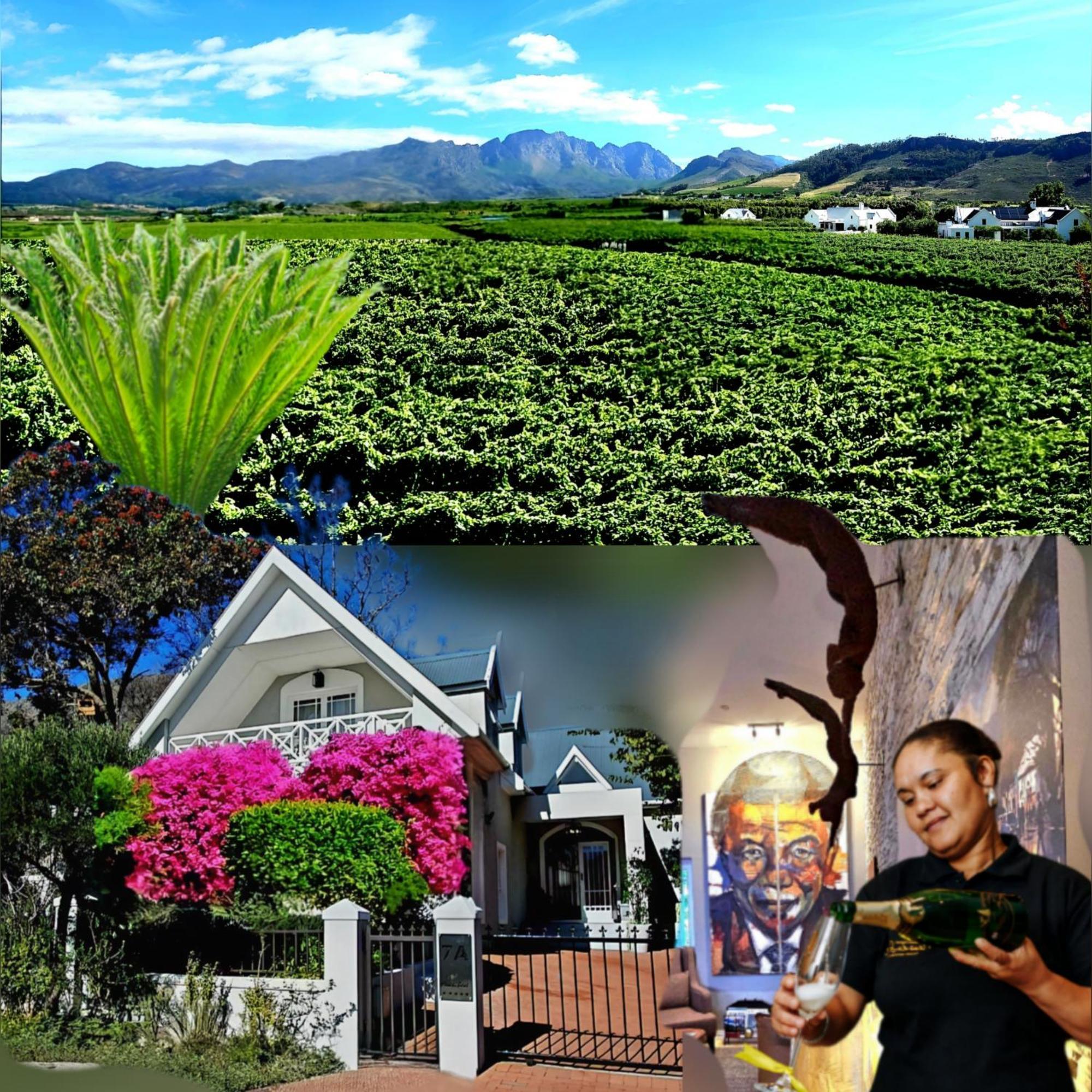 Fleur Du Soleil Luxury Guesthouse Franschhoek Dış mekan fotoğraf